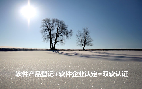 雙軟認證