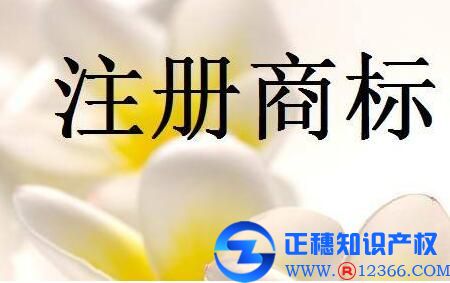 商標注冊自行辦理與委托商標代理機構辦理有什么區別嗎？